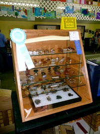 2007 - Thurston County Fair