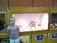 2010 - WAMS Agates