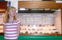 2011 - Petrified Wood & Limb Casts