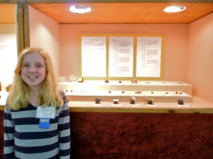 2012 - Mineral Crystal Systems Case