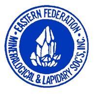 AFMS - EFMS Logo