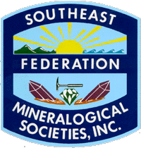 AFMS - SEFMS Logo