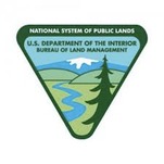 BLM Logo