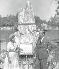 Disney - Petrified tree