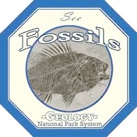 Fossils