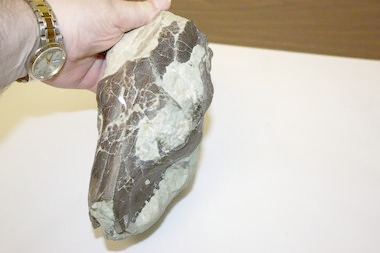John Day Fossil Theft 10098108-large