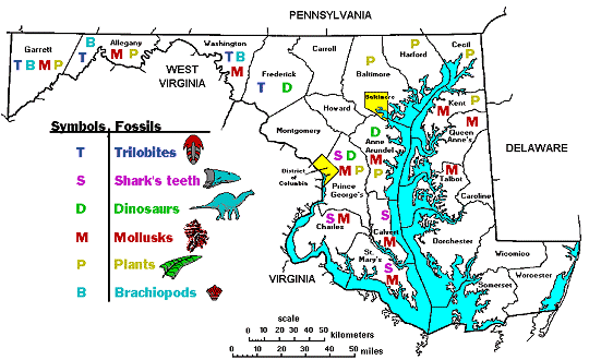Map - Fossil Collecting Sites