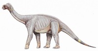 Maryland - Dino Astrodon