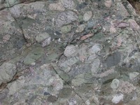 Massachusetts - Rock - roxbury conglomerate