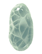 Michigan - Gem - Chlorastrolite