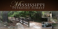 Mississippi Petrified Forest