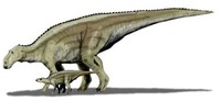 Montana - fossil - dinosaur