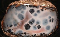 Montana - Gem - Montana Agate