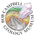 Musem - Bob campbell gmlogoF