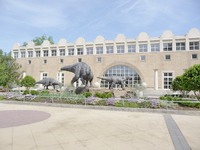 Museu - Fernbank Museum of Natural History
