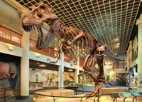Museum - Academy of Natural Science - dinohall-trex 510