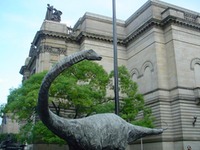 Museum - Carnegie mnh