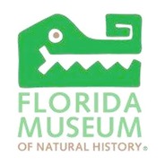 Museum - Florida Museum of Natural History Logo