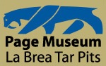 Museum - La Brea Logo
