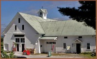 Museum - Little Nature Museum