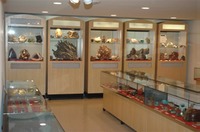 Museum - MTSU