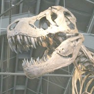 Museum - RMDRC