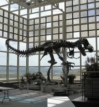 Museum - Western WY CC