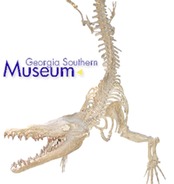 Museum ga-southern-museum logo