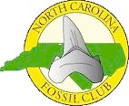 NC Fossil Club