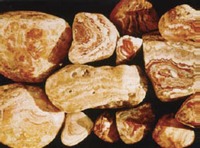 Nebraska - Rock - Prairie Agate