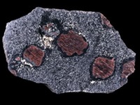 New York - Gem - Garnet (Barton mine)