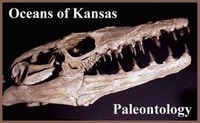 Oceans of Kansas