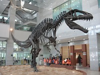 Oklahoma - Dino - ARCO