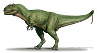 Oklahoma - Fossil - saurophaganax-maximus