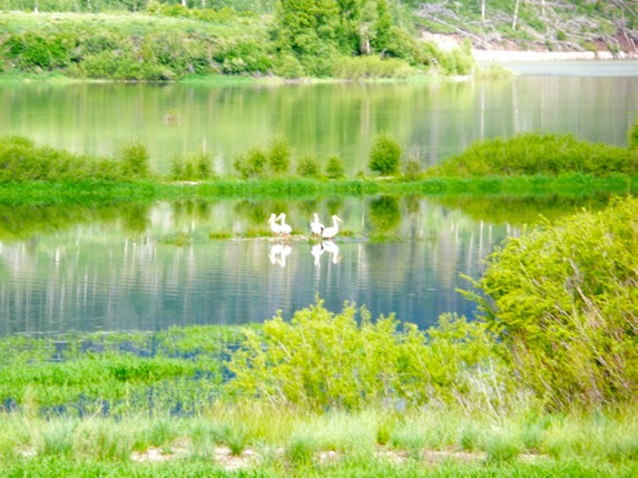 P1050383