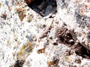 P1060438