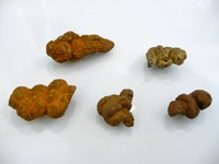 P1070646