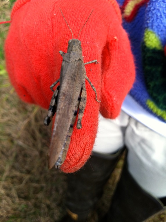 photo-16