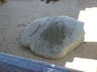 Plymouth Rock