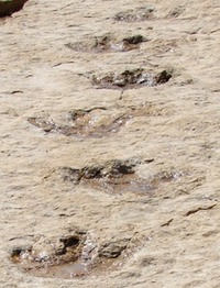 Site - Clayton Lake State Park (dino tracks)
