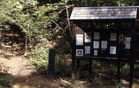 Site - Deer Hill (USFS) Amethyst)
