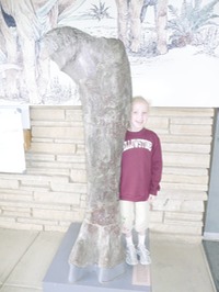 SIte - Dino National Monument - Zoe & Bone