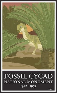 Site - Fossil Cycad RIP