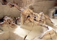 Site - Mammath Site