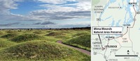 Site - mima mounds