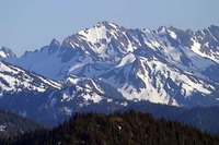 Site - Olympic NP