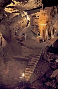 Site - Organ Cave
