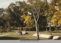 Site - Petrified Log & Stumps at Capitol grounds