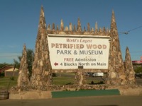 Site - Petrified Wood Park