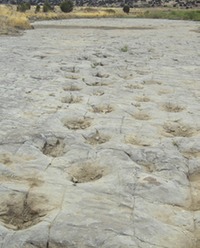 Site - Picketwire Tracksite